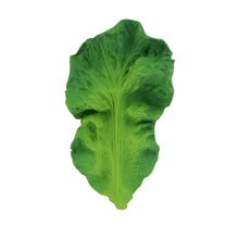 Load image into Gallery viewer, Kendall the Kale
